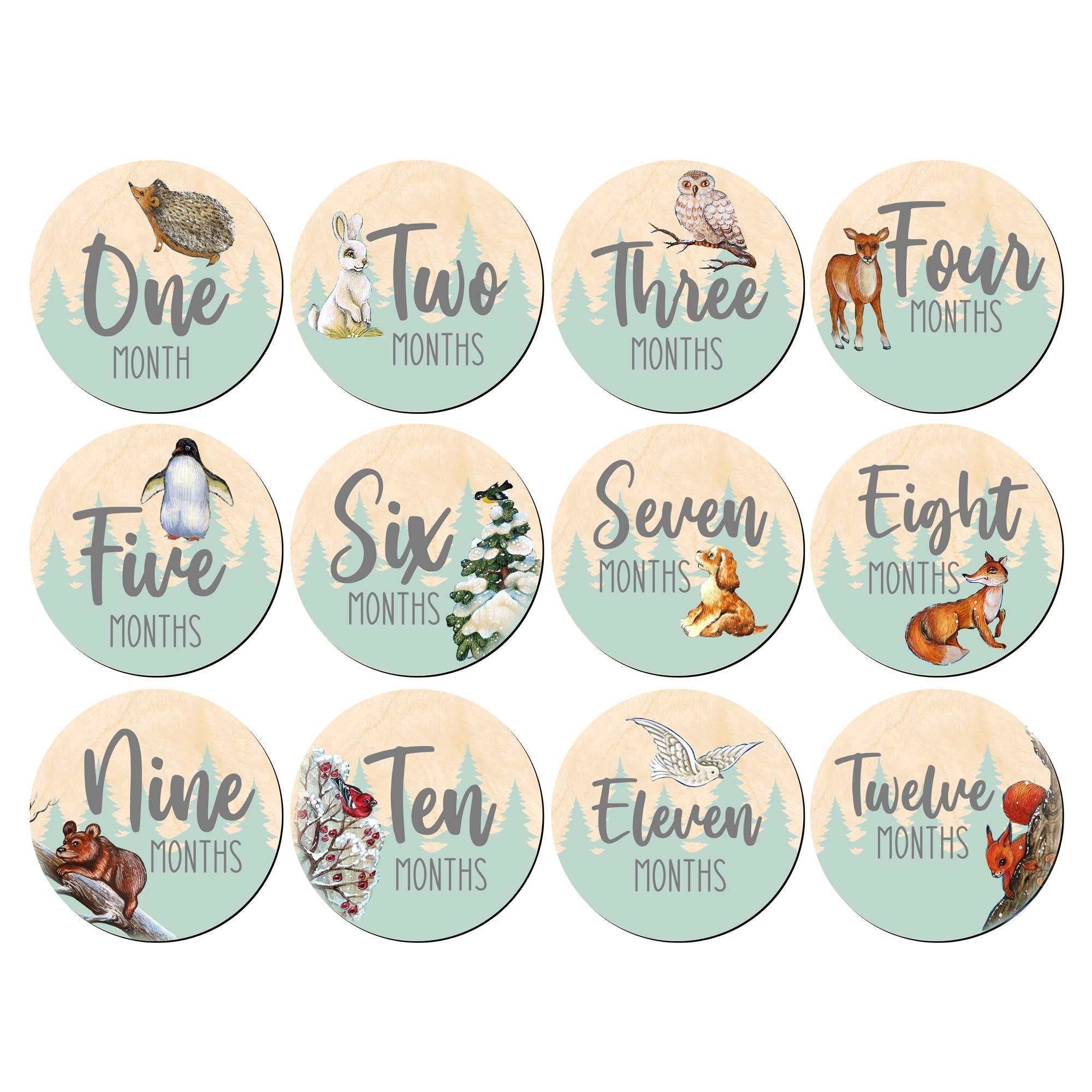 Baby Monthly Milestone Cards — Wooden First Year Photo Props