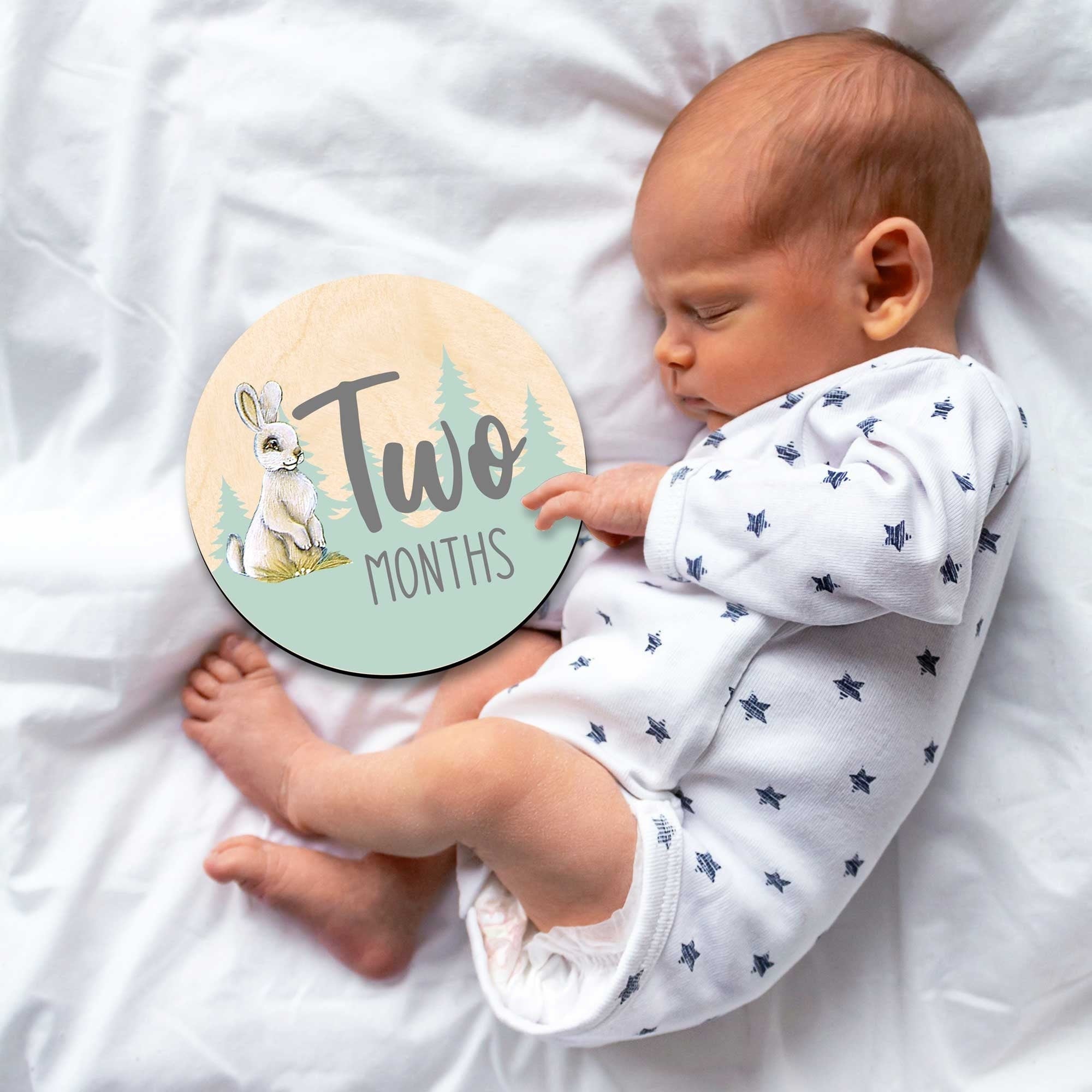 Baby Monthly Milestone Cards — Wooden First Year Photo Props