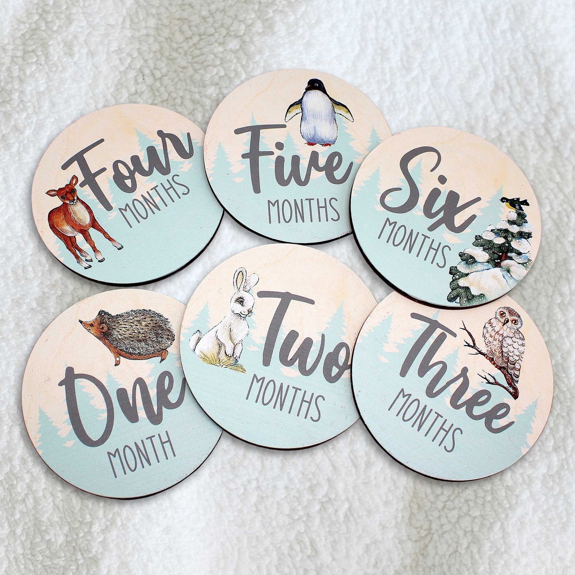 Baby Monthly Milestone Cards — Wooden First Year Photo Props